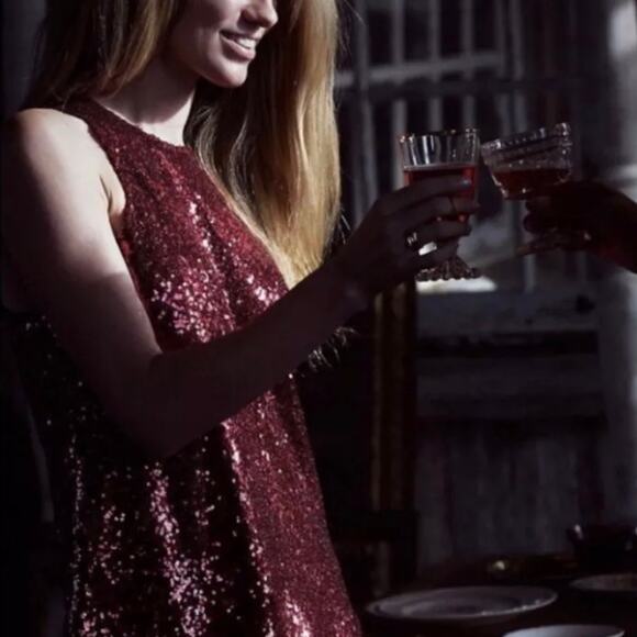 Free People High Neck Ruby Red Sequin Dress Burgundy Sleeveless Swing Mini Small - Picture 3 of 12